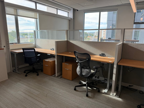 Hon Workstations w/ Electric Adjustable Desk 70+ Available